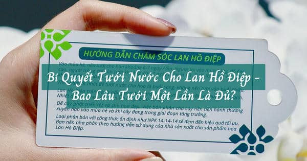 Bí Quyết Tưới Nước Cho Lan Hồ Điệp - Bao Lâu Tưới Một Lần Là Đủ?