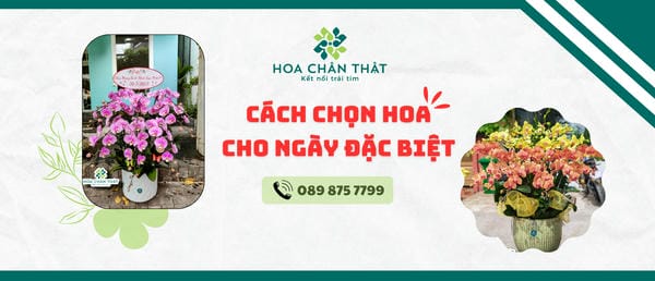 Cách chọn hoa tinh tế cho ngày đặc biệt