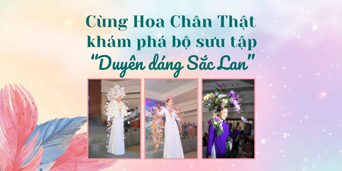 Cùng Hoa Chân Thật khám phá bộ sưu tập Duyên dáng Sắc Lan