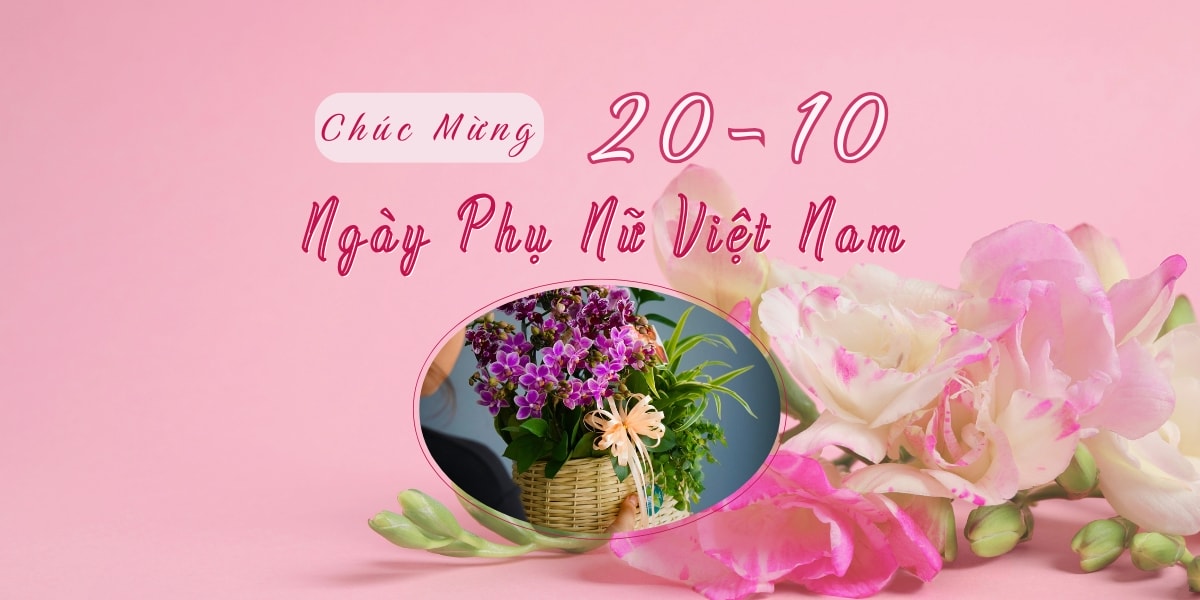 Gợi Ý Quà Tặng Độc Đáo Từ Hoa Lan Cho Dịp 20 10