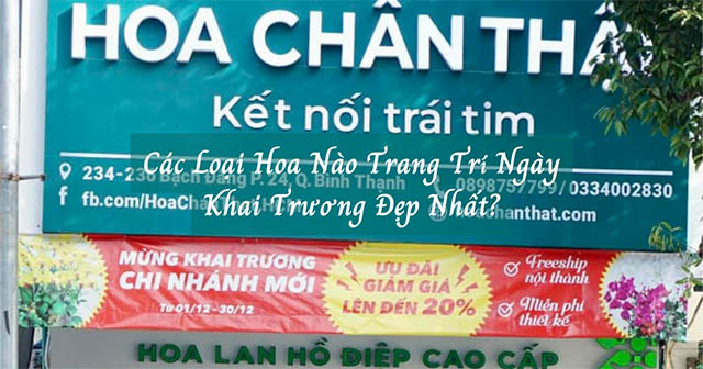 Các Loại Hoa Nào Trang Trí Ngày Khai Trương Đẹp Nhất?