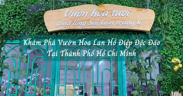 Khám phá vườn hoa lan hồ điệp tại TPHCM