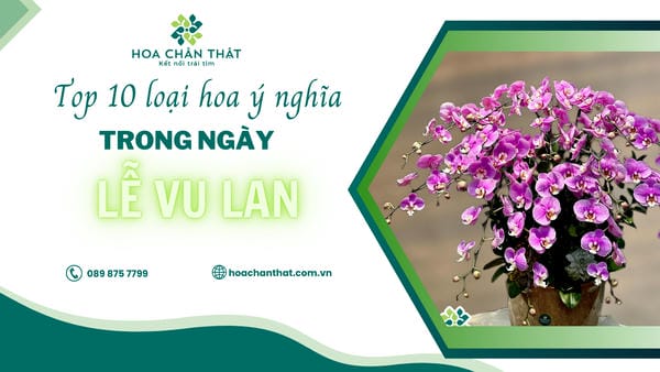 10 loài hoa ý nghĩa giúp bạn bày tỏ tấm lòng trong ngày Lễ Vu Lan