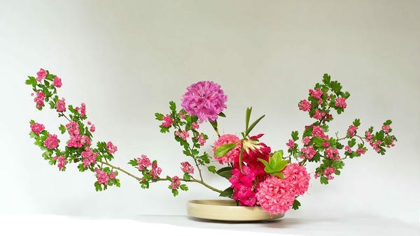 Ikebana - Nghệ thuật cắm hoa truyền thống