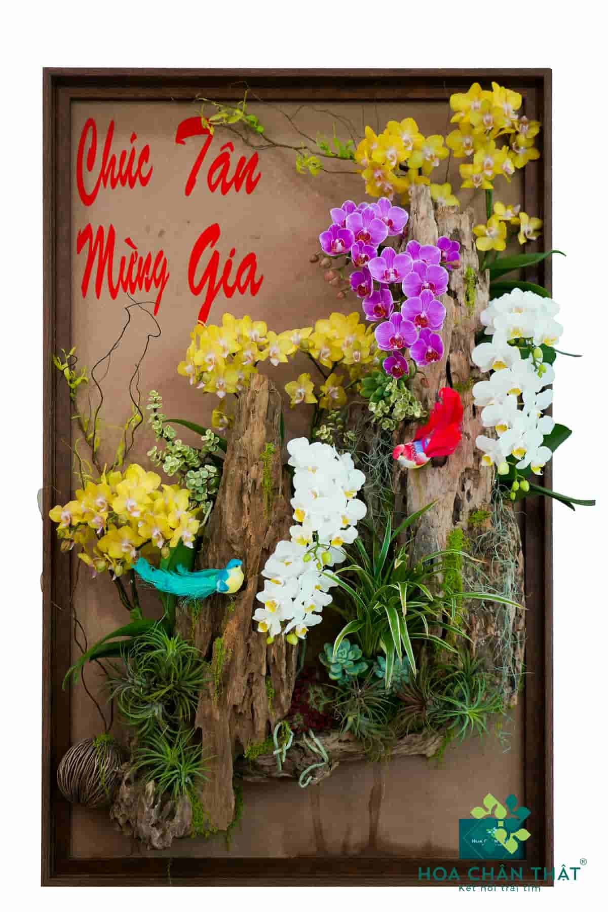 Tranh lan hồ điệp - Tân Gia Cát Tường