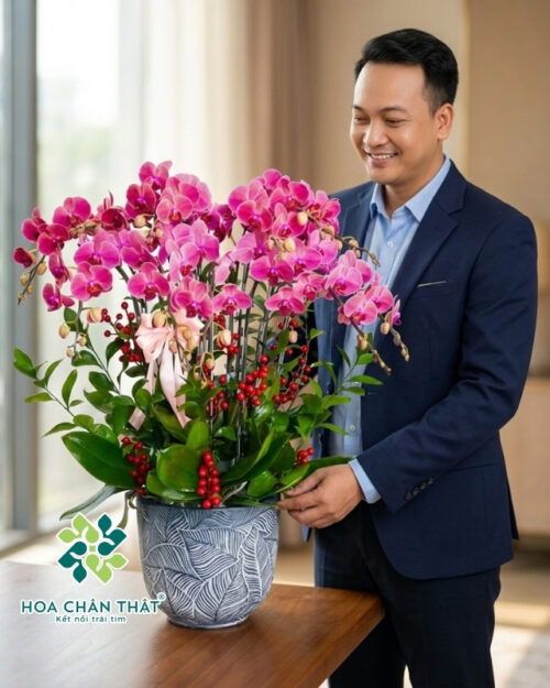 Chậu Lan Hồ Điệp Đỏ Dâu 10 Cành – Tình Nồng