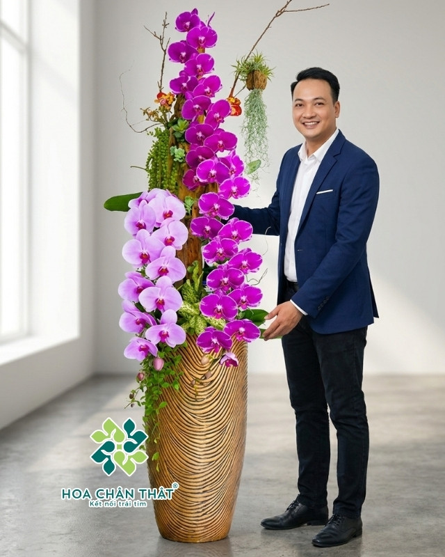 Chậu lan hồ điệp 3 cành – Dáng Huyền Chậu lan hồ điệp 3 cành – Dáng Huyền