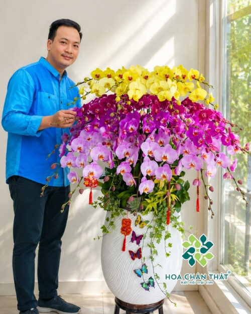 Chậu lan hồ điệp 30 cành – Phúc Lộc Thọ Khang Ninh