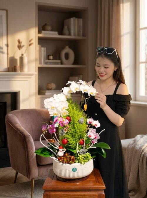 Chậu lan hồ điệp 6 cành - Thiên Đàng Tuyết Trắng Chậu lan hồ điệp 6 cành – Thiên Đàng Tuyết Trắng