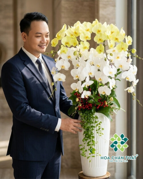 Chậu lan hồ điệp 8 cành – Nắng Tinh Khôi