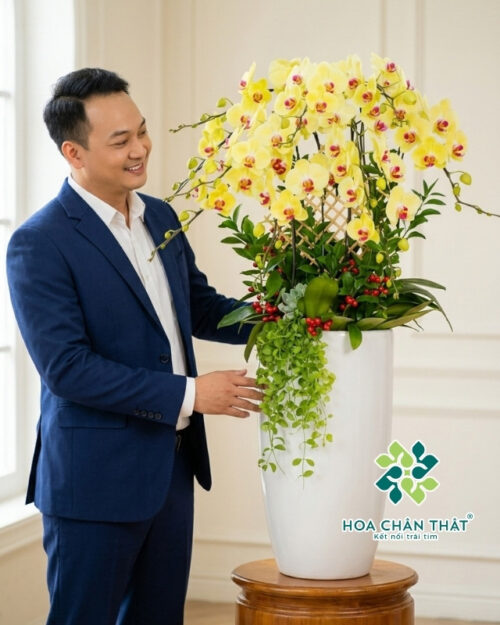 Chậu lan hồ điệp 8 cành – Nắng Tinh Khôi