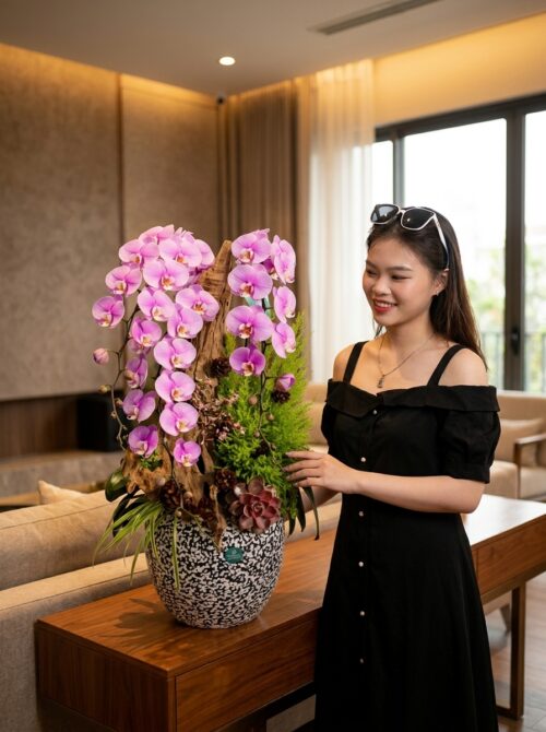 Chậu lan hồ điệp hồng 3 cành – Sắc Hồng Đêm Đông