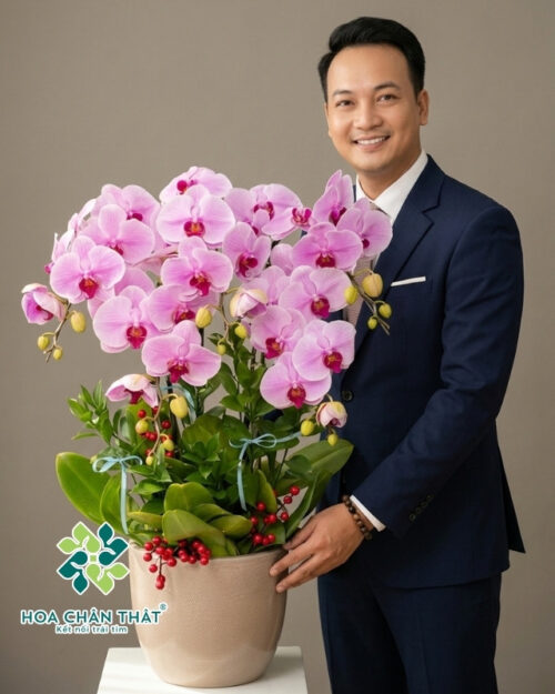 Chậu lan hồ điệp hồng 5 cành – Tình Hồng