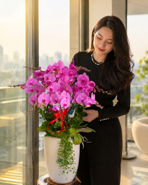 Chậu lan hồ điệp hồng 9 cành - Hồng Thắm Chậu lan hồ điệp hồng 9 cành – Hồng Thắm