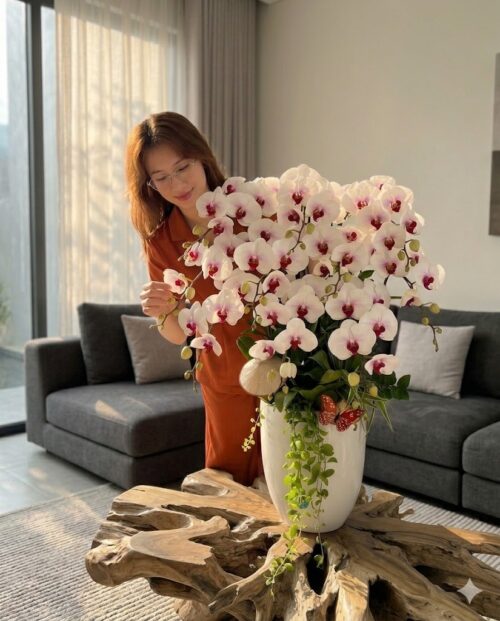 Chậu lan hồ điệp trắng 10 cành – Phỉ Thúy