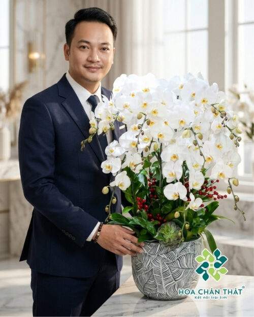 Chậu lan hồ điệp trắng 10 cành – Tinh Khôi