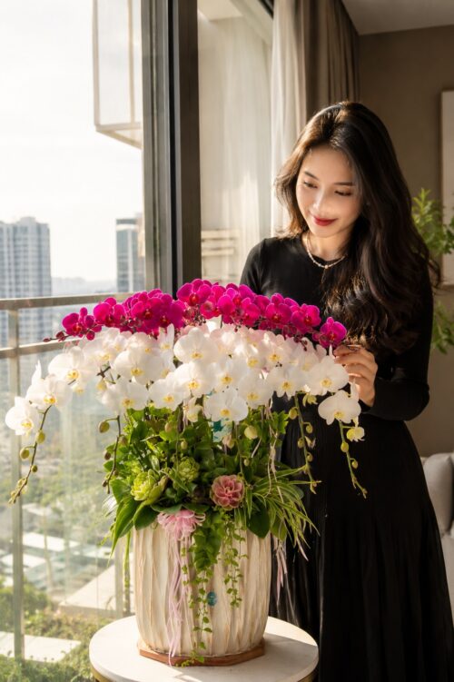 Chậu lan hồ điệp 12 cành - Thùy Vân Chậu lan hồ điệp 12 cành – Thùy Vân
