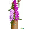 Chậu lan hồ điệp 3 cành - Dáng Huyền