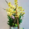 Chậu lan hồ điệp vàng 8 cành – Ánh Dương