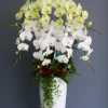 Chậu lan hồ điệp 8 cành – Nắng Tinh Khôi
