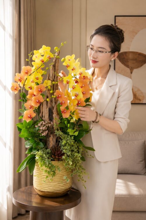 Chậu lan hồ điệp 9 cành – Bích Chi