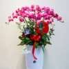 Chậu lan hồ điệp đỏ 8 cành – Cherry