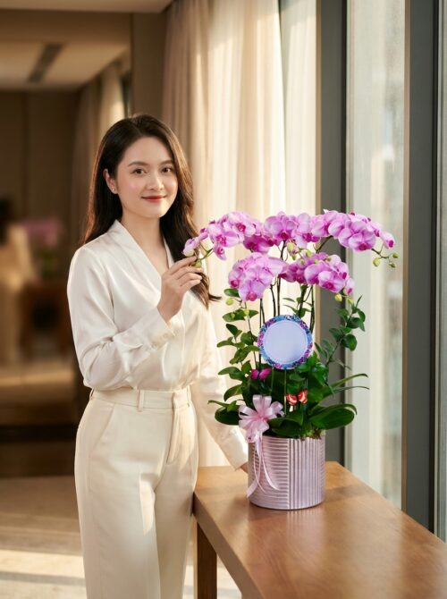 Chậu lan hồ điệp hồng 5 cành