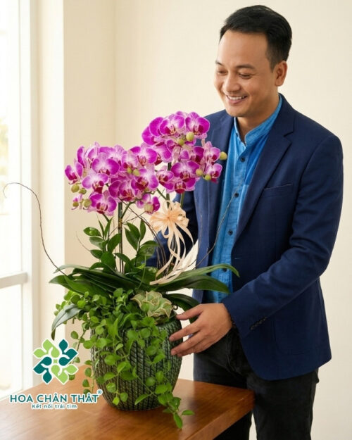 Chậu lan hồ điệp mini 2 cành – Tình Yêu Nhỏ Xinh