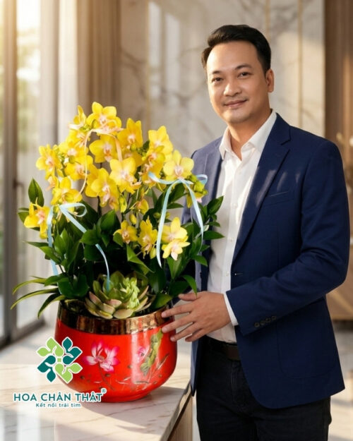 Chậu lan hồ điệp mini 4 cành – Ánh Vàng