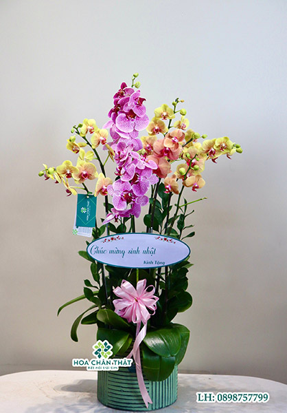 chau lan ho diep tai loc no ro304200670891 1