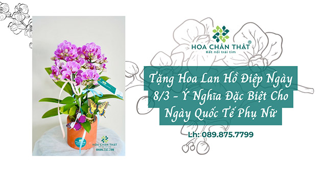 lan ho diep 8 3