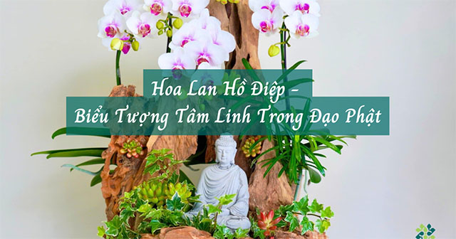 lan ho diep bieu tuong tam linh dao phat