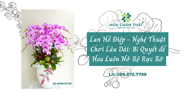 lan ho diep choi lau dai