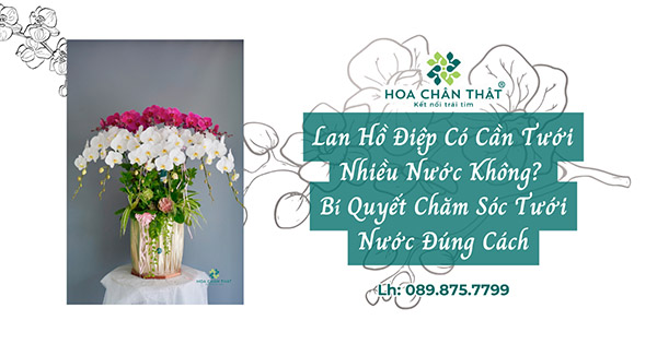 lan ho diep co can tuoi nhieu nuoc