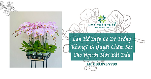 lan ho diep co de trong khong