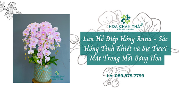 lan ho diep hong anna sac hong tinh khiet