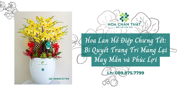 lan ho diep trang tri