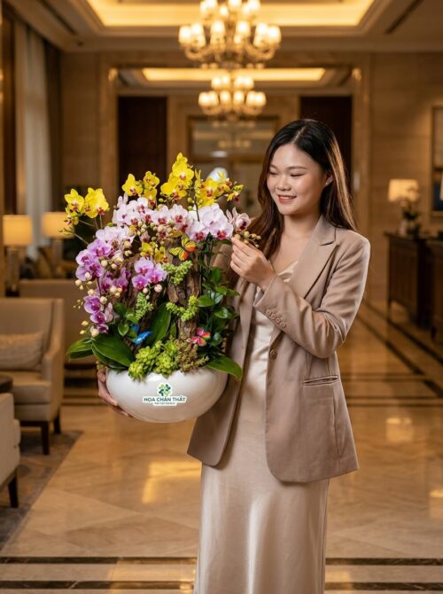 Chậu lan hồ điệp mini 13 cành – Sinh Nhật Nhỏ Xinh
