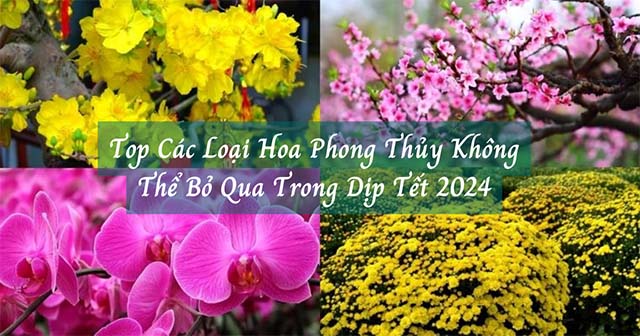 top cac loai hoa phong thuy