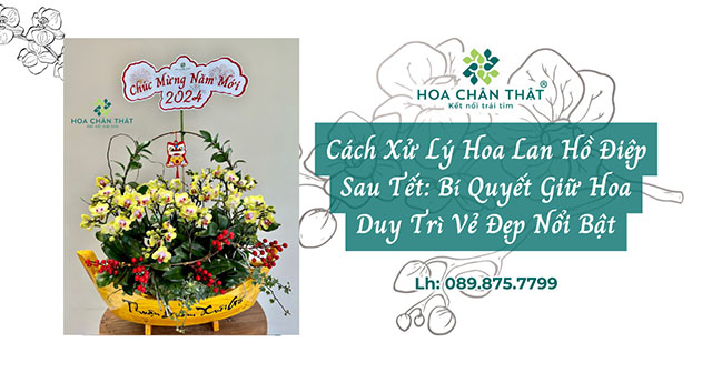 xu ly lan ho diep sau tet