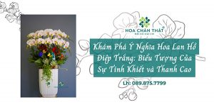 y nghia hoa lan ho diep trang