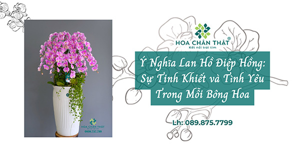 y nghia lan ho diep hong su tinh khiet