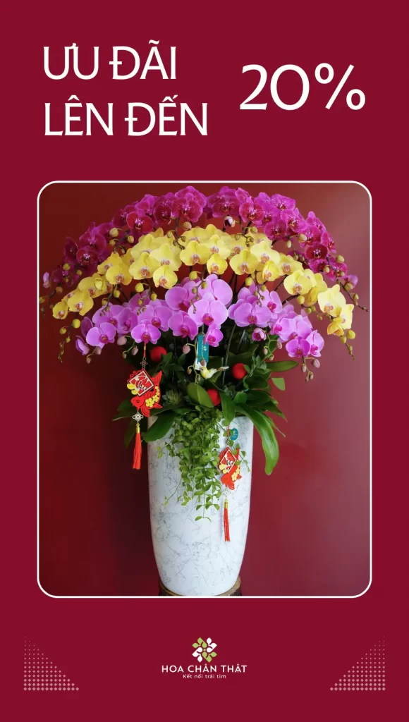 Banner Home 1 Lần 4