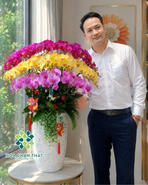 Chậu lan hồ điệp 20 cành – Khởi Nguyên