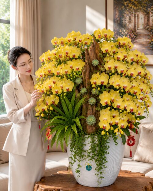 Chậu lan hồ điệp vàng 26 cành – Thanh Tuấn