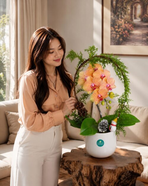 Chậu lan hồ điệp 1 cành – Nhỏ ơi