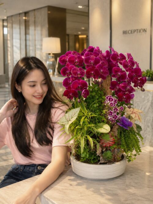 Chậu Lan Hồ Điệp Tím 8 Cành – Uyển Nhi
