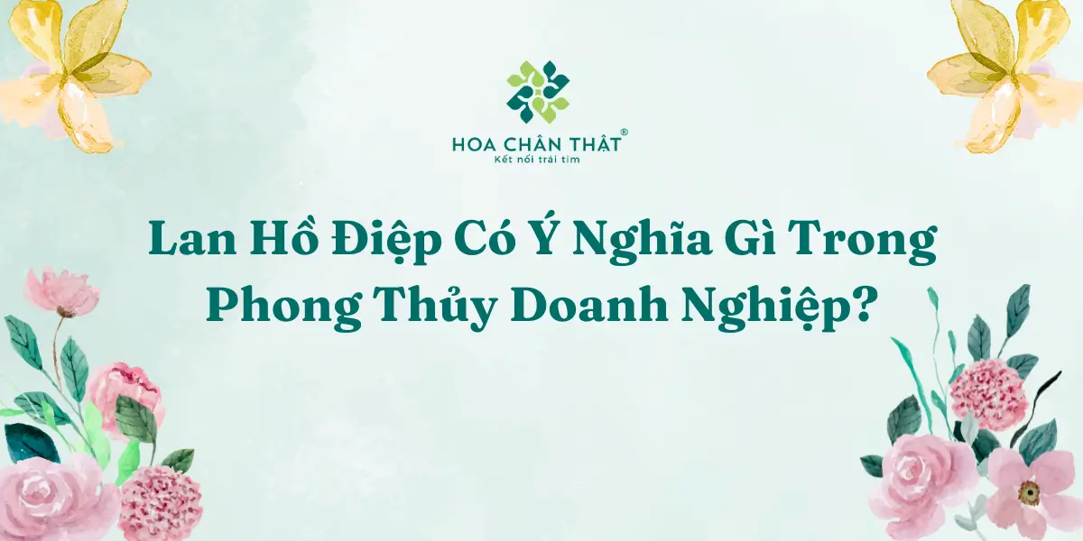 Lan Ho Diep Co Y Nghia Gi Trong Phong Thuy Doanh Nghiep