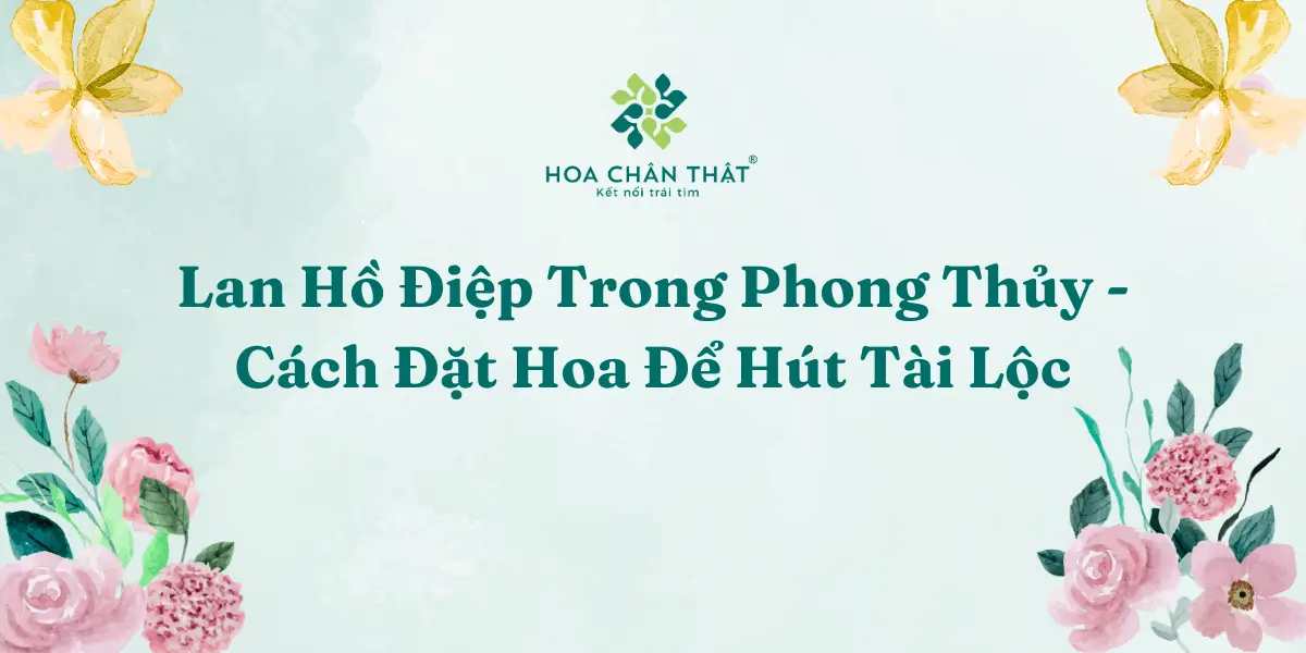 Lan Ho Diep Trong Phong Thuy – Cach Dat Hoa De Hut Tai Loc