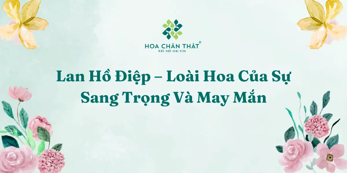 Lan Ho Diep – Loai Hoa Cua Su Sang Trong Va May Man